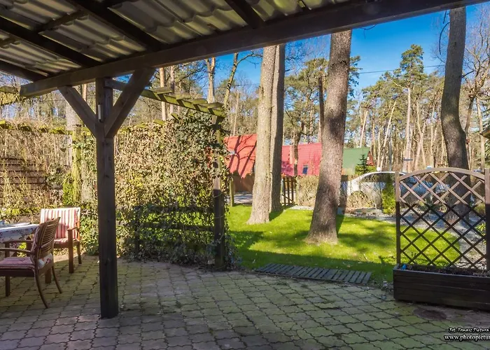 Letniskowy * Sierakow (Greater Poland)